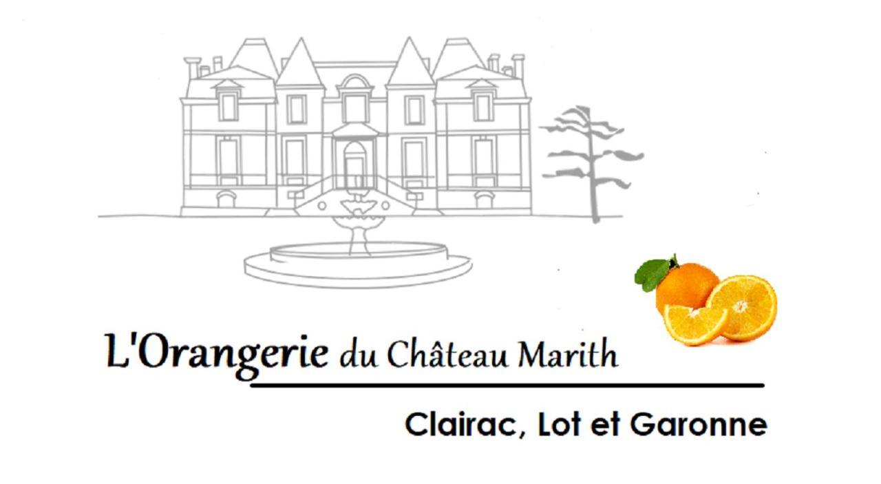 Orangerie Du Chateau Marith - Domaine Avec Piscine Clairac  Eksteriør billede
