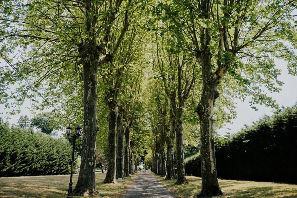 Orangerie Du Chateau Marith - Domaine Avec Piscine Clairac  Eksteriør billede