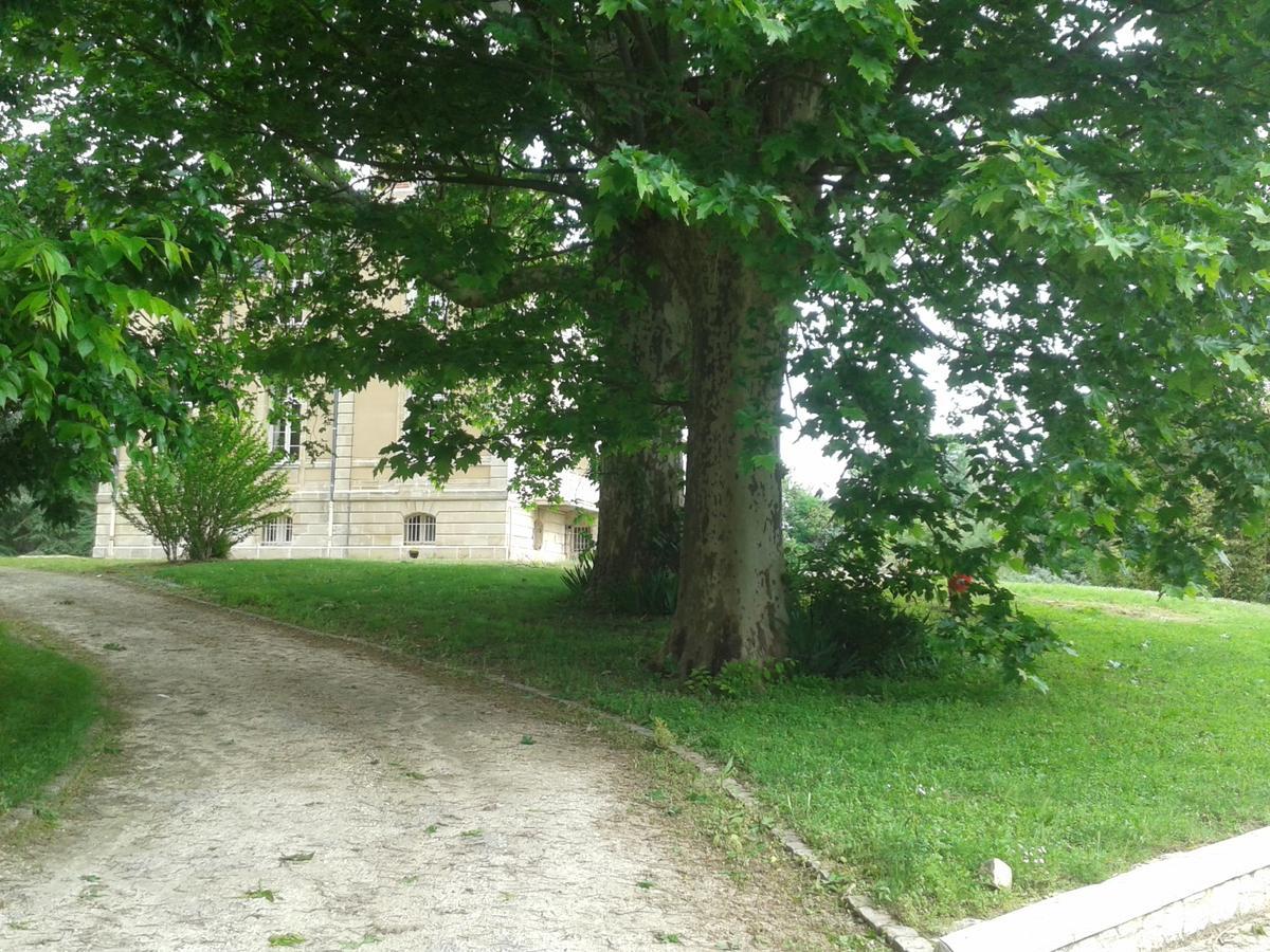 Orangerie Du Chateau Marith - Domaine Avec Piscine Clairac  Eksteriør billede
